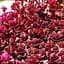 Саженец Agro-Market Очиток ложный Вуду (Sedum spurium Voodoo) (60442) 1 шт. в упаковке - миниатюра 1
