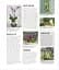 Grow Orchids. Essential Know-how and Expert Advice for Gardening Success - мініатюра 7