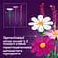 Конструктор LEGO Botanicals Квіти космеї (11514) - мініатюра 10