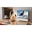 Телевизор Hisense 50E7NQ 50" QLED 4K [20013848] EU [131592] - миниатюра 12