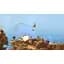 Ключ активації Microsoft Worms Battlegrounds + Worms W.M.D для Xbox One/Series - мініатюра 8