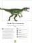 Paperscapes: The Fearsome World of Dinosaurs - мініатюра 9