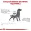 Сухой корм для взрослых собак Royal Canin Sensitivity Control при пищевых аллергиях 14 кг - миниатюра 4