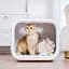 Смарт-сушка Petkit Airsalon Max Pro Smart Pet Dryer Box (PD10) - мініатюра 4