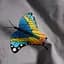 Набор наволочек Moon&Star Бязь Gold Люкс Butterfly Love 50х70 см 2 шт - миниатюра 5