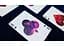 Карты игральные United States Play Card Company Explorer Play Cards (PC_EXPL) - миниатюра 3