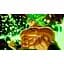 Ключ активації Microsoft Dragon Ball: Sparking! Zero для Xbox Series S/X - мініатюра 5