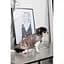 Жилет Pet Fashion Hardy для собак розмір L - мініатюра 6