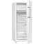 Холодильник Gorenje RB615FEW5 с морозильной камерой - миниатюра 6