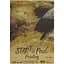 Склейка SM-LT Art Start mixed media А3 300 г/м2 20 листов - миниатюра 1