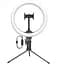 Кольцевая лампа Baseus Live Stream Holder-table Stand 25,4 см CRZB10-A01 Black - миниатюра 1