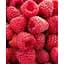 Саджанець Agro-Market Малина Зюгана укорінена в контейнері (ремонтантний сорт) 1 саджанець (152643) - мініатюра 1