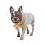 Светр в'язаний Pet Fashion Rich для собак такса S2 - мініатюра 2