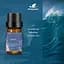 Эфирное масло Kinscoter Essential Oil Set 6 bottles, 6*10 мл - миниатюра 3