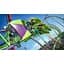 Ключ активации Microsoft Planet Coaster для Xbox One/Series - миниатюра 5