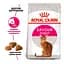 Сухий корм для вибагливих котів Royal Canin Exigent Protein 2 кг + Сухий корм Royal Canin Exigent Fussy для дорослих котів з вибагливим апетитом 400 г  - мініатюра 2