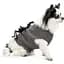 Аксесуар для собак Pet Fashion Spider XS-XXS  - мініатюра 4