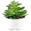 Горщик зі штучною рослиною МВМ My Home, 14 см, білий (DH-FLOWERS-14 M GREEN/WHITE) - мініатюра 1