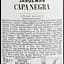 Бренди Sandeman Capa Negra Jerez, 36%, 0,7 л - миниатюра 3