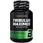 Стимулятор тестостерону BioTech Tribulus Maximus, 90 таблеток - мініатюра 1