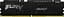 Пам'ять 32Gb DDR5, 5600 MHz, Kingston Fury Beast, Black, 40-40-40, 1.25V, з радіатором (KF556C40BB-32) - мініатюра 2