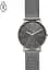 Годинник SKAGEN SKW6577 - мініатюра 1