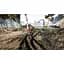 Ключ активації Microsoft Lumberjack Simulator для Xbox One/Series - мініатюра 5