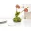 Сушарка для зелені Brabantia Tasty+ 16x25x25 см (145407) - мініатюра 9