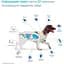 Жевательные таблетки для собак NexGard Spectra Boehringer Ingelheim XS 1.35-3.5 кг 1 таблетка (159903-1) - миниатюра 2