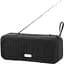 Портативная акустика Biva SP-03 Bluetooth+FM Radio Speaker Black - миниатюра 1