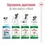 Сухой корм для взрослых собак Royal Canin Mini Adult с мясом птицы 8 кг - миниатюра 5