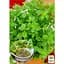 Саженец Agro-Market Майоран душистый (Amaracum) (52518) 1 шт. - миниатюра 2