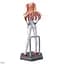 Фигурка Sega Евангелион Аска Лэнгли Evangelion Asuka Langley 14 см S E AL 14 - миниатюра 3
