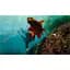 Монопод GoPro Extension Pole with Bluetooth Shutter Remote Black (AGXTS-002) [136751] - мініатюра 10