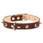 Нашийник для собак Collar, шкіряний, подвійний, з шипами, 56-68х4,5 см, коричневий - мініатюра 1
