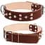 Нашийник для собак Collar подвійний з шипами (4820082496814) - мініатюра 1
