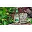 Напиток Fentimans Ginger Ale безалкогольный 200 мл (799379) - миниатюра 5