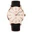 Skmei 9303RGSI Rose Gold-Silver SALE - мініатюра 1