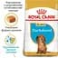 Сухий корм для цуценят породи Такса Royal Canin Dachshund Puppy, 1,5 кг (24370151) - мініатюра 4