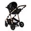 Універсальна коляска Lionelo Amber 2 в 1 Black Onyx (LO-AMBER BLACK ONYX (2in1)) - мініатюра 7