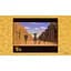 Disney Classic Games: Aladdin і The Lion King (Nintendo Switch) - мініатюра 7