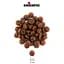 Сухий корм Chicopee (Чикопи) CNL Cat Adult Indoor Beef 15 кг з яловичиною для котів, що проживають в приміщенні - мініатюра 2