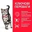 Сухий корм Hill's SP Adult Hairball Indoor для котів виведення грудочок шерсті з куркою 1.5 кг - мініатюра 2
