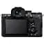 Бездзеркальний фотоапарат Sony Alpha A7R V Body Black (ILCE7RM5) UA [113382] - мініатюра 4