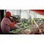 Гра Hitman World of Assassination для PS5 (EN + RU sub) [103668] - мініатюра 6