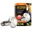 Рефлекторна лампа Exo Terra Intense Basking Spot тераріумна, для обігріву, 75 W, E27 - мініатюра 1
