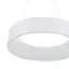 Світильник стельовий Brille підвісний з пультом BL-483S/2x24W LED RM WH - мініатюра 7
