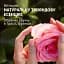 Кондиционер для волос Herbal Essences Rose Scent Petal Soft смягчающий 145 мл - миниатюра 2