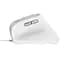 Мишка Trust Bayo II Ergonomic USB White (25397) - мініатюра 4