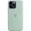 Чохол Silicone Case з MagSafe для Apple iPhone 14 Pro Max (Succulent) ААА [72719] - мініатюра 1